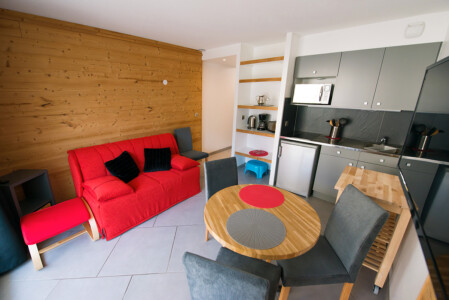 Appartement 203 - Séjour